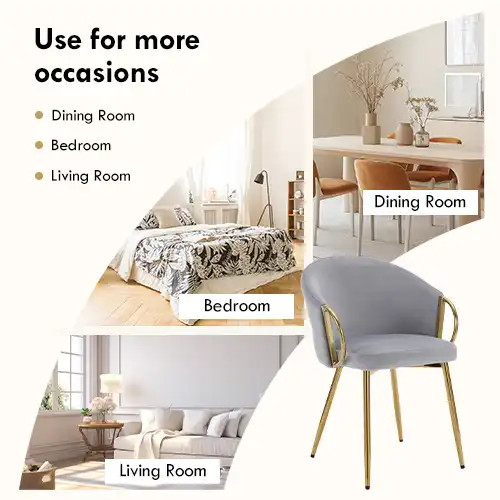 Top Modern Cream Metal Leg Dining Chairs for Stylish Interiors